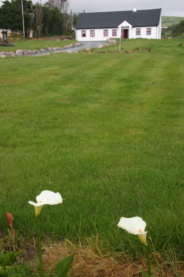 Rose Cottage Ballinskelligs Exterior foto